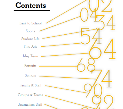 Article image-6