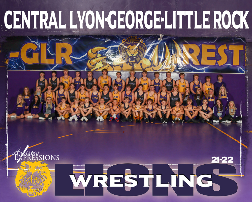picture of wrestling team