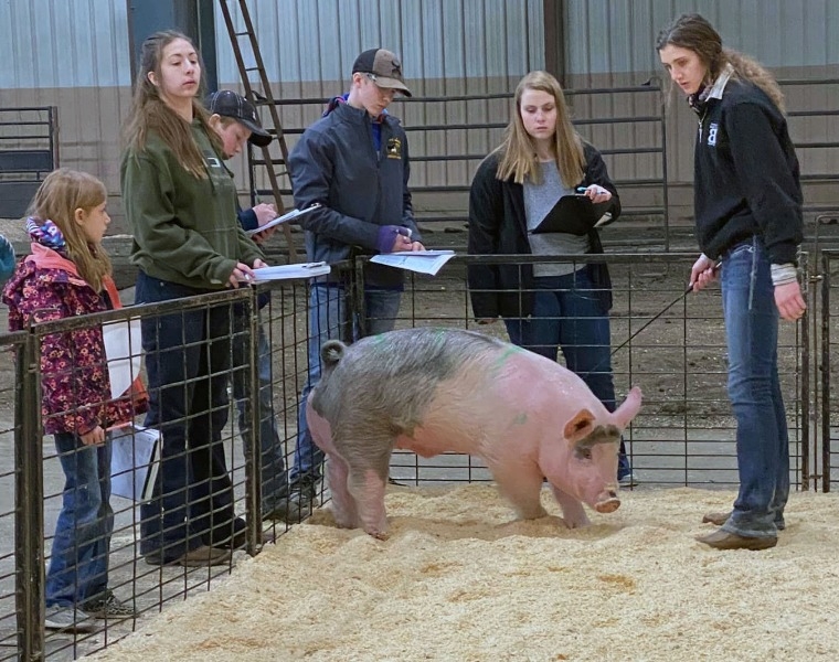 Central Lyon CSD - FFA Livestock Judging